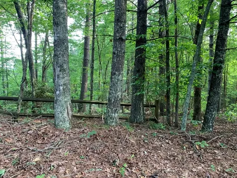 Lot 43 Kestrel Ridge Circle Murphy NC 28906