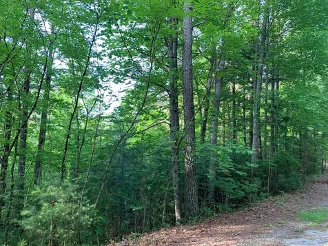 Lot 43 Kestrel Ridge Circle Murphy NC 28906
