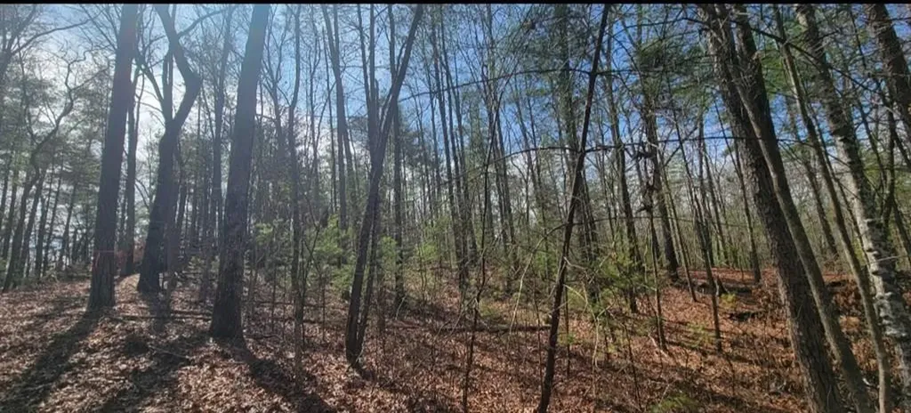 00 Headwaters Drive Murphy NC 28906
