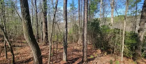 00 Headwaters Drive Murphy NC 28906