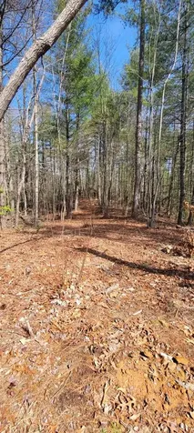 00 Headwaters Drive Murphy NC 28906