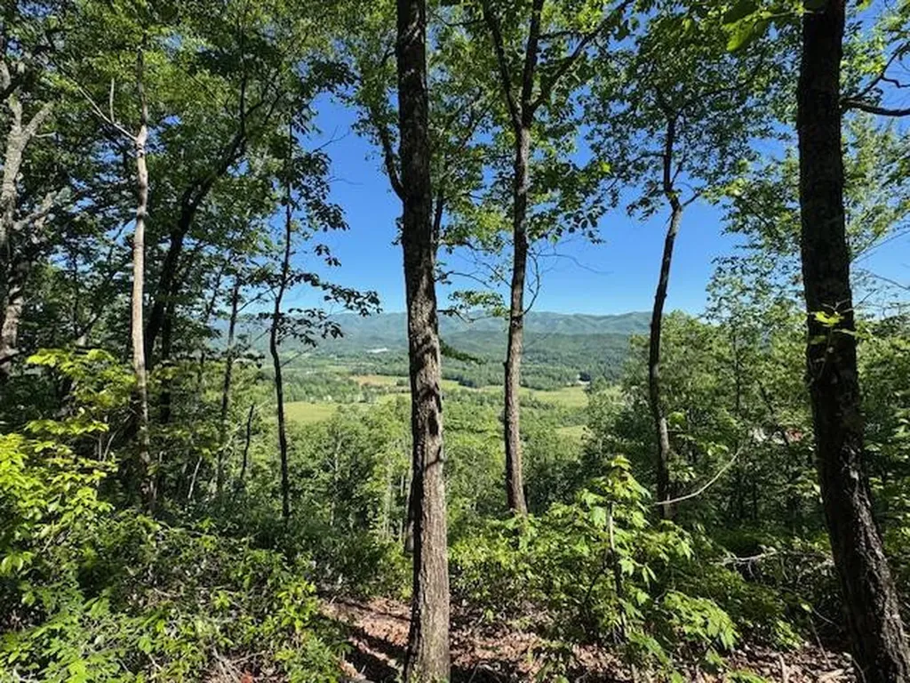 00 Coalville Road Marble NC 28901