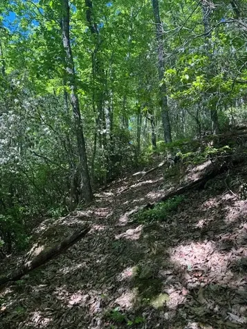 00 Coalville Road Marble NC 28901