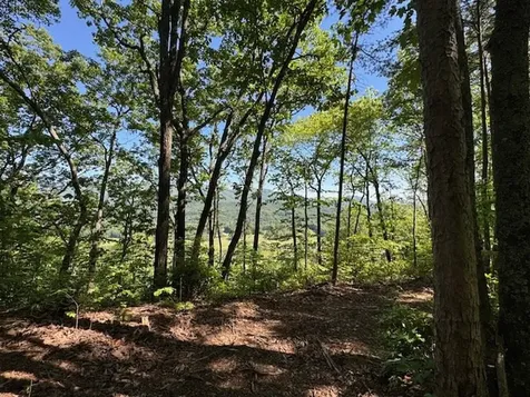 00 Coalville Road Marble NC 28901