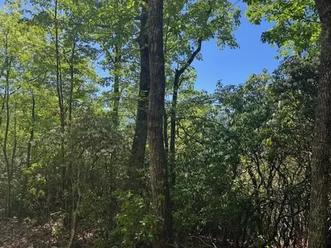 00 Coalville Road Marble NC 28901