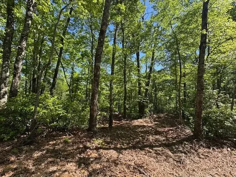 00 Coalville Road Marble NC 28901