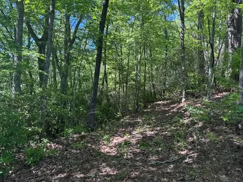 00 Coalville Road Marble NC 28901
