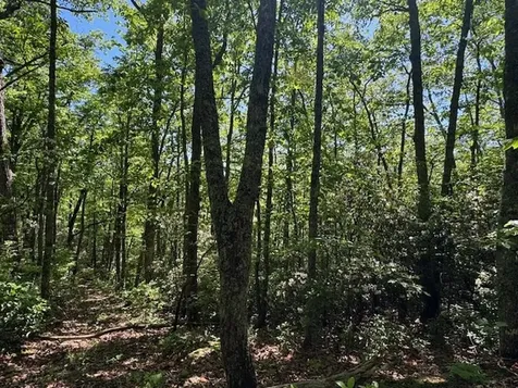 00 Coalville Road Marble NC 28901