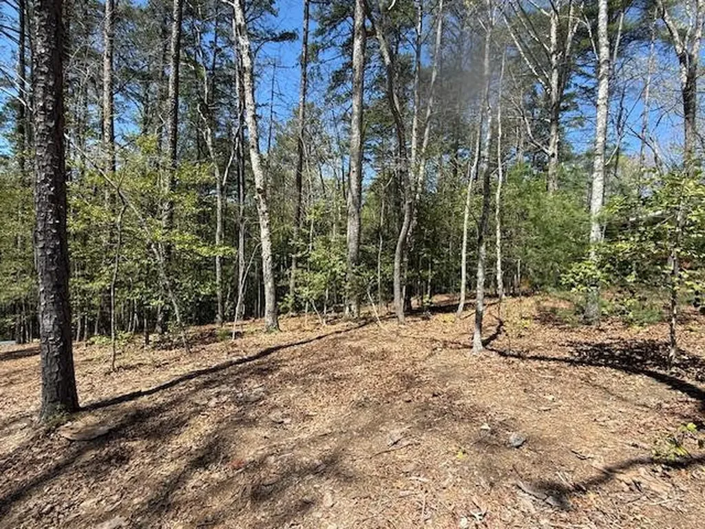 Lot 2 Lynae Lane Murphy NC 28906