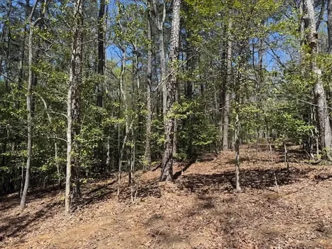 Lot 2 Lynae Lane Murphy NC 28906