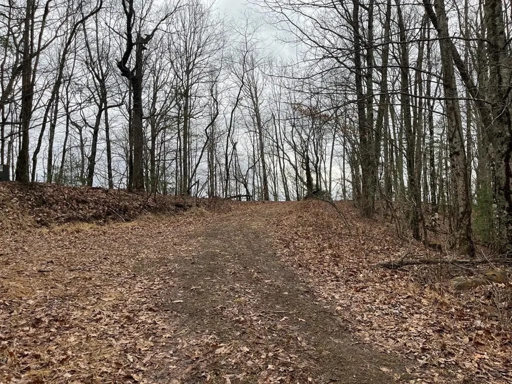 19 Lots Crockett Hayesville NC 28904