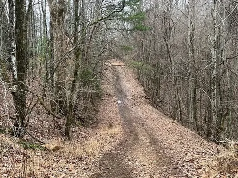 19 Lots Crockett Hayesville NC 28904
