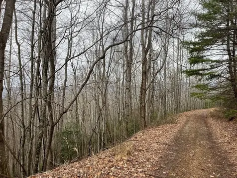 19 Lots Crockett Hayesville NC 28904