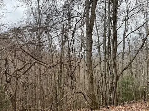 19 Lots Crockett Hayesville NC 28904