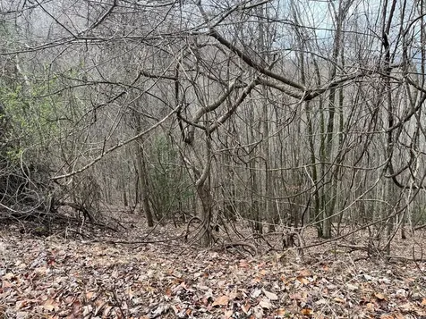19 Lots Crockett Hayesville NC 28904