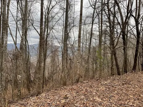 19 Lots Crockett Hayesville NC 28904