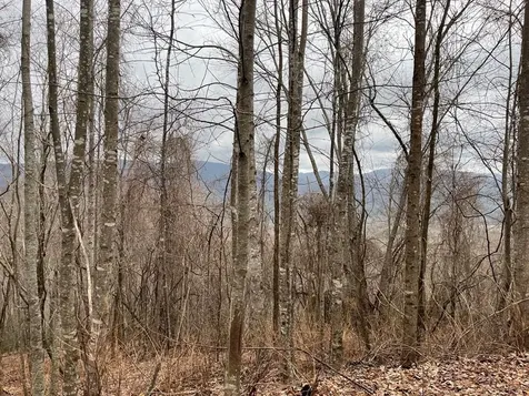 19 Lots Crockett Hayesville NC 28904