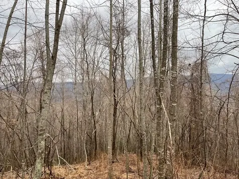 19 Lots Crockett Hayesville NC 28904
