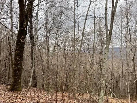 19 Lots Crockett Hayesville NC 28904