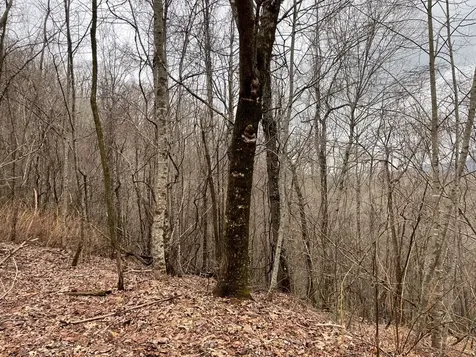 19 Lots Crockett Hayesville NC 28904