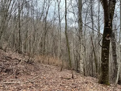 19 Lots Crockett Hayesville NC 28904