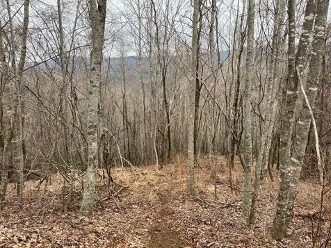 19 Lots Crockett Hayesville NC 28904