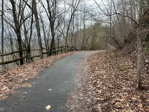19 Lots Crockett Hayesville NC 28904