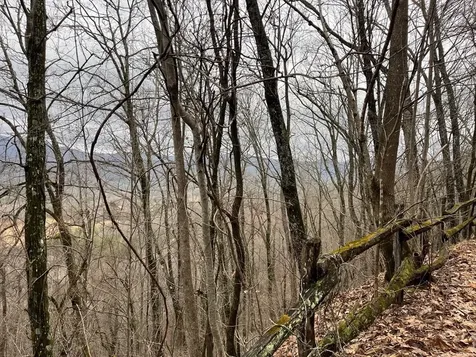 19 Lots Crockett Hayesville NC 28904