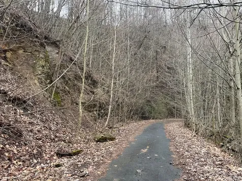 19 Lots Crockett Hayesville NC 28904