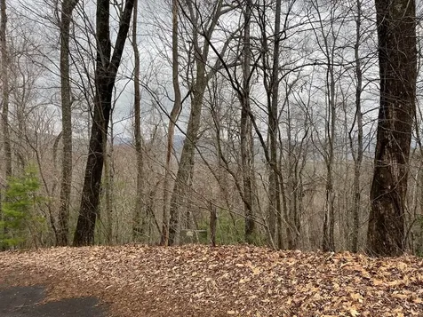 19 Lots Crockett Hayesville NC 28904