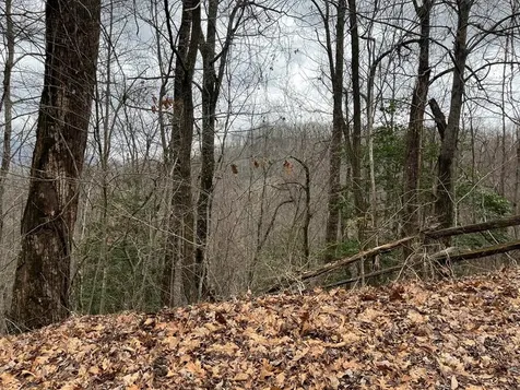 19 Lots Crockett Hayesville NC 28904