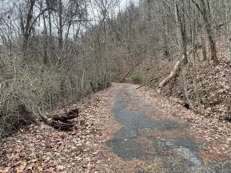 19 Lots Crockett Hayesville NC 28904