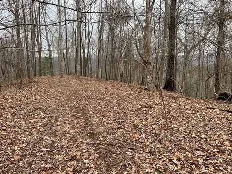 19 Lots Crockett Hayesville NC 28904