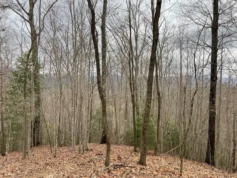 19 Lots Crockett Hayesville NC 28904