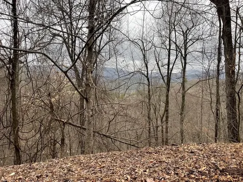 19 Lots Crockett Hayesville NC 28904
