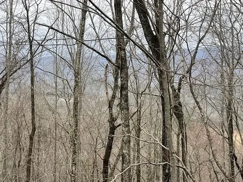 19 Lots Crockett Hayesville NC 28904