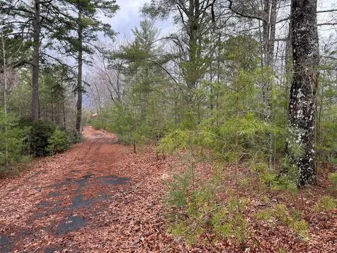 19 Lots Crockett Hayesville NC 28904