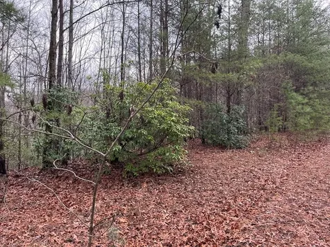 19 Lots Crockett Hayesville NC 28904
