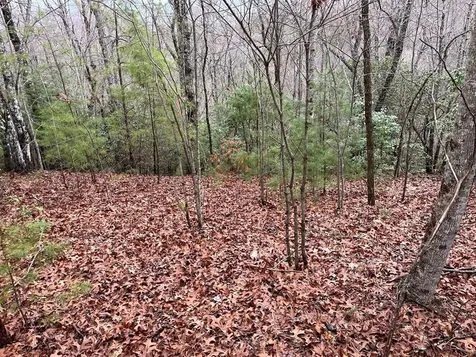 19 Lots Crockett Hayesville NC 28904