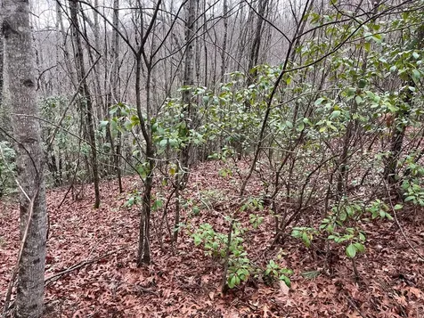 19 Lots Crockett Hayesville NC 28904