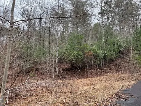 19 Lots Crockett Hayesville NC 28904