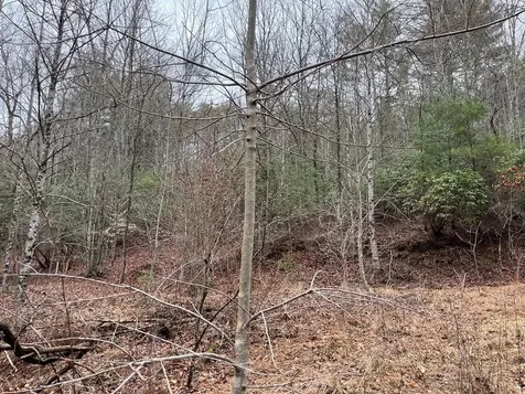 19 Lots Crockett Hayesville NC 28904