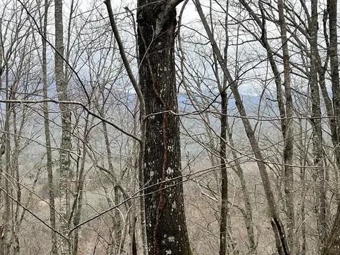 19 Lots Crockett Hayesville NC 28904