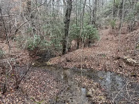 19 Lots Crockett Hayesville NC 28904