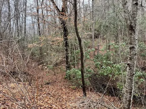19 Lots Crockett Hayesville NC 28904