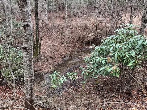 19 Lots Crockett Hayesville NC 28904