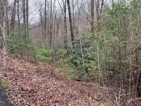 19 Lots Crockett Hayesville NC 28904