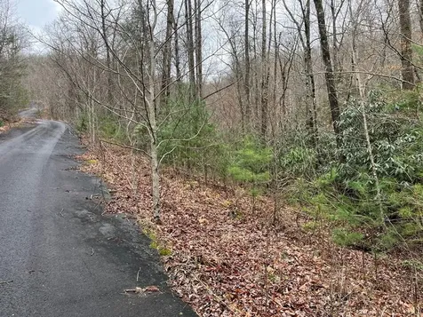 19 Lots Crockett Hayesville NC 28904