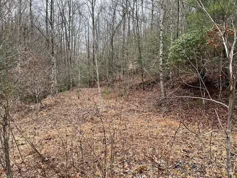 19 Lots Crockett Hayesville NC 28904