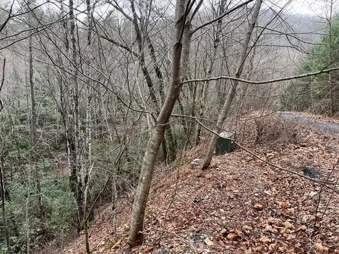 19 Lots Crockett Hayesville NC 28904